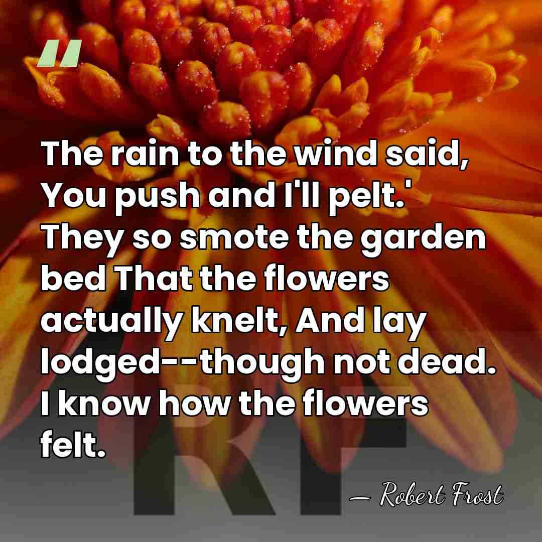 The rain to the wind said, You push and I'll pelt.' They&hellip; - Robert Frost