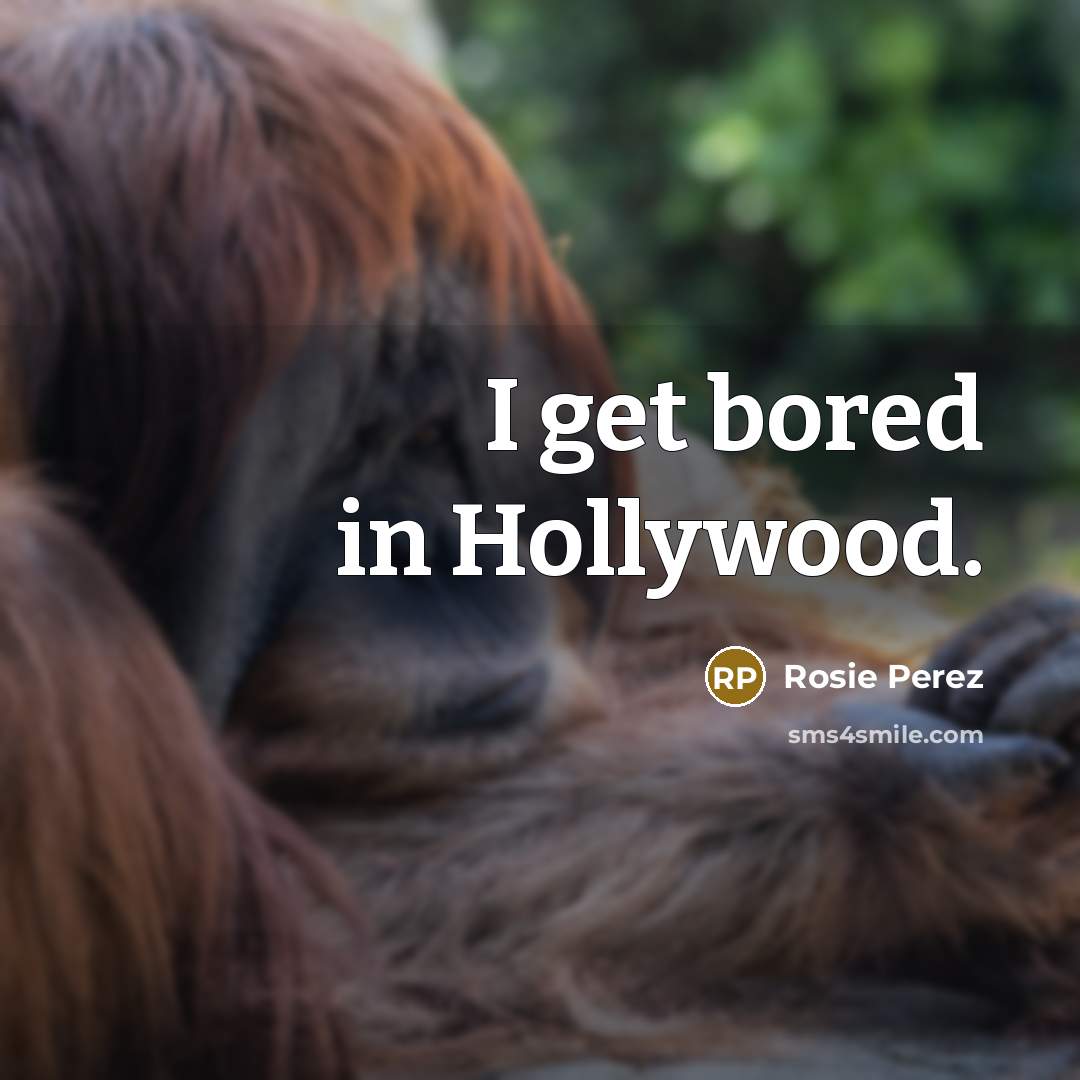 “I get bored in Hollywood.…” quote by Rosie Perez