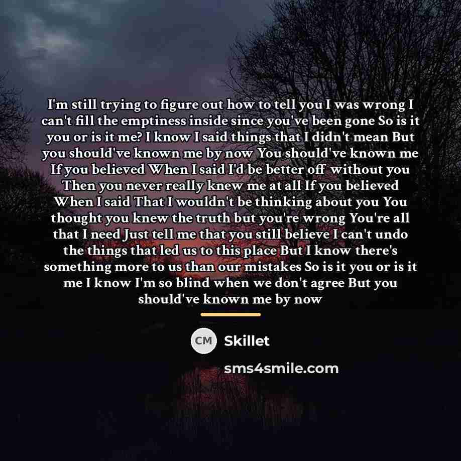 “I'm still trying to figure out how to tell you…” quote by Skillet