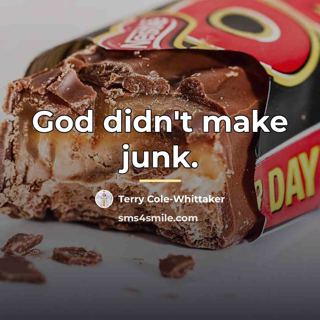 “God didn't make junk.…” quote by Terry Cole-Whittaker