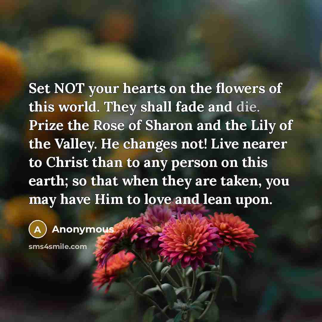 “Set NOT your hearts on the flowers of this world.…” quote by Anonymous