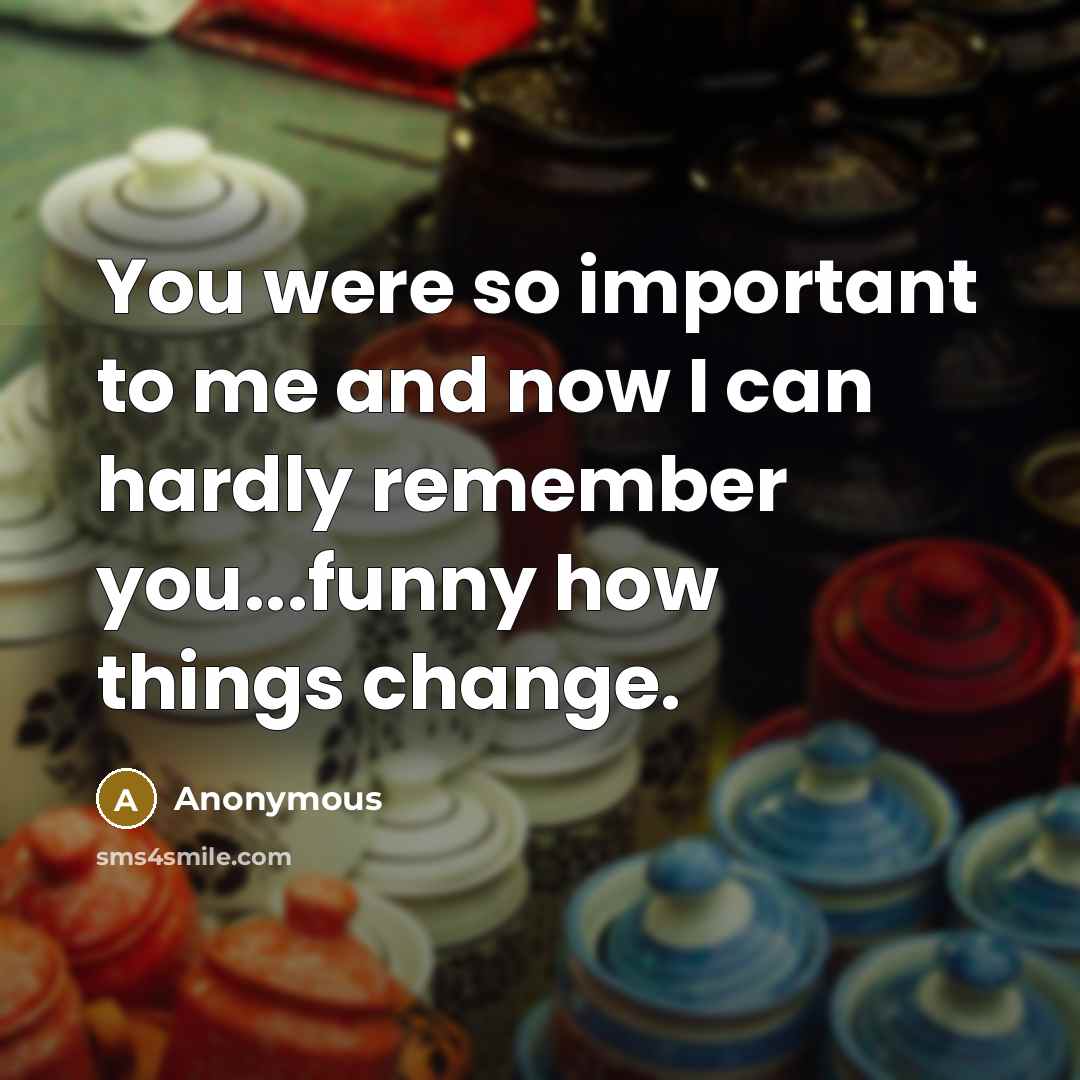 “You were so important to me and now I can…” quote by Anonymous