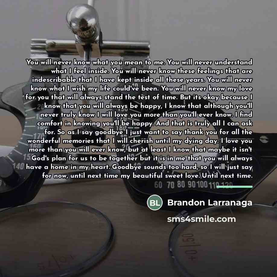 “You will never know what you mean to me. You…” quote by Brandon Larranaga