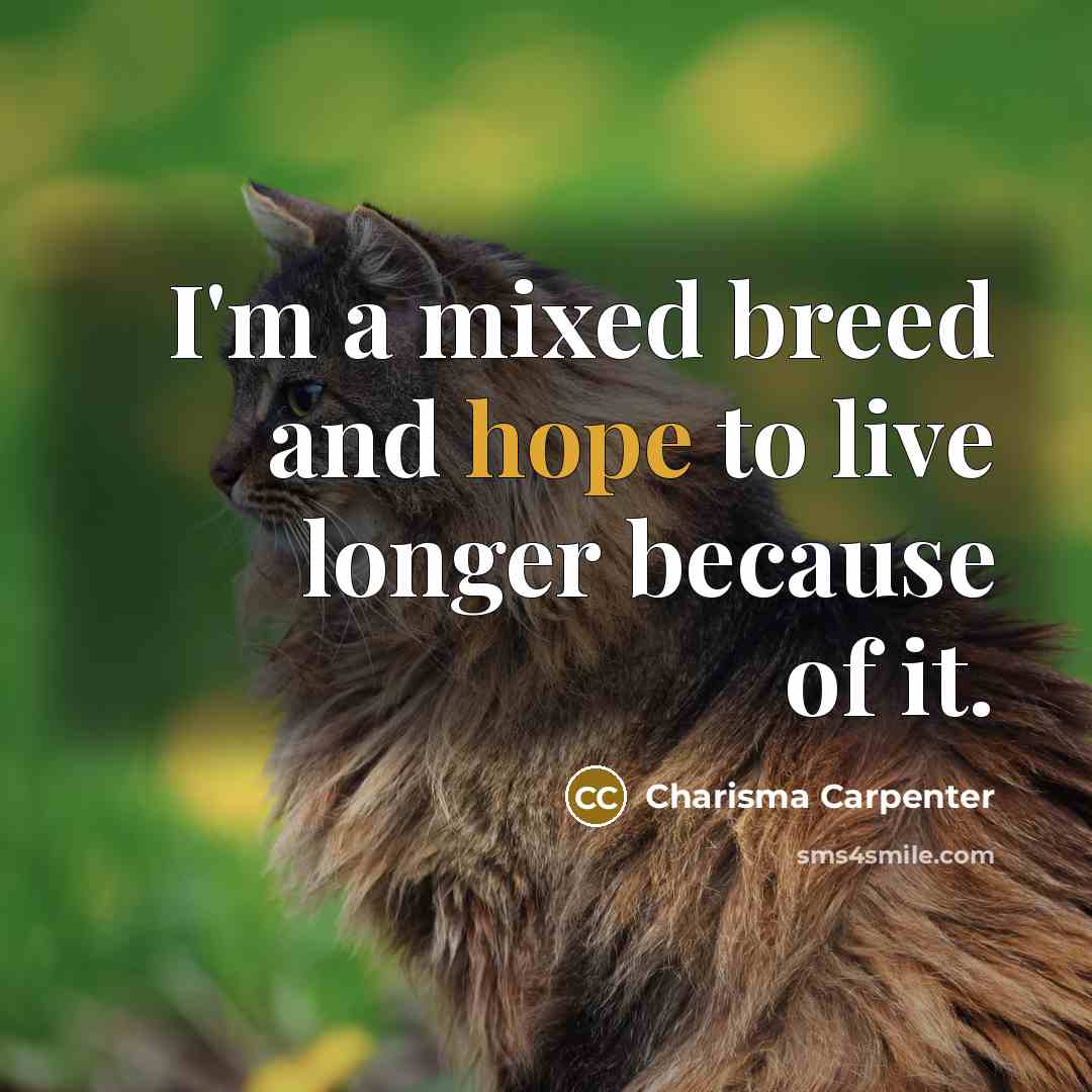 “I'm a mixed breed and hope to live longer because…” quote by Charisma Carpenter