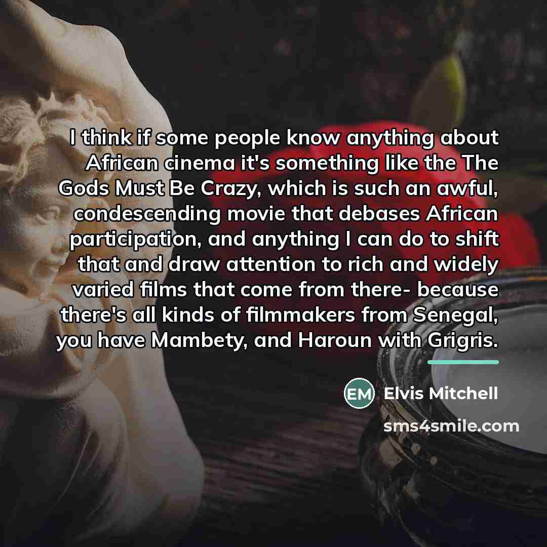 “I think if some people know anything about African cinema…” quote by Elvis Mitchell