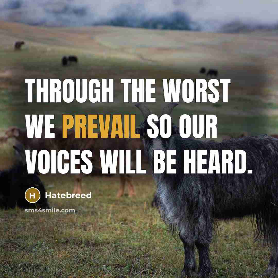 “Through the worst we prevail so our voices will be heard.” quote by Hatebreed