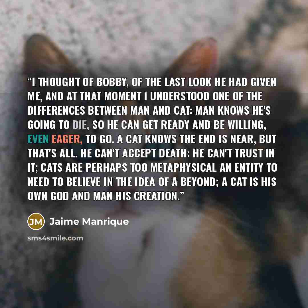 “I thought of Bobby, of the last look he had given me, and at that moment I understood one of the differences between man and cat: man knows he's going to die, so he can get ready and be willing, even eager, to go. A cat knows the end is near, but that's all. He can't accept death: he can't trust…” quote by Jaime Manrique
