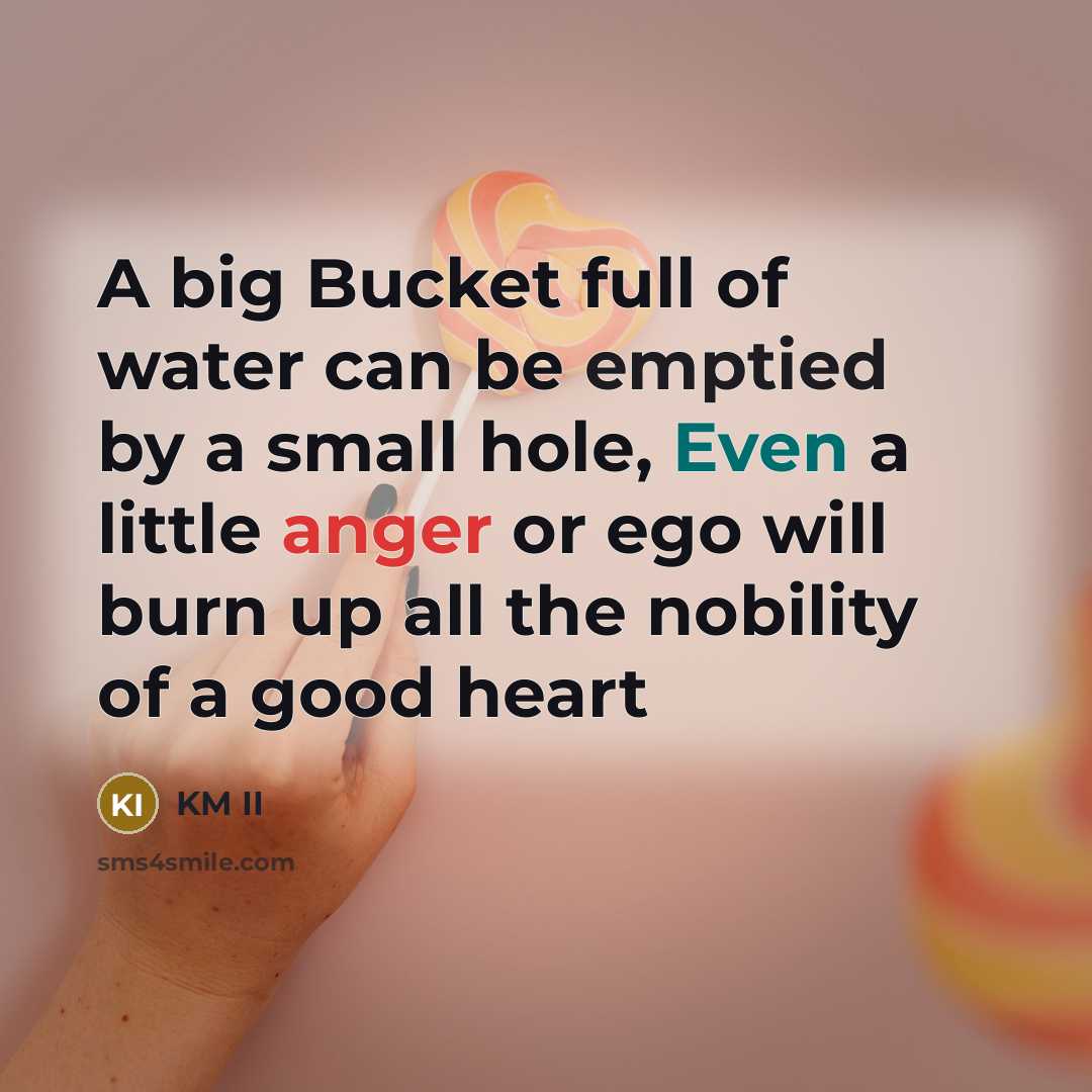 “A big Bucket full of water can be emptied by a small hole, Even a little anger or ego will burn up all the nobility of a good heart” quote by KM II