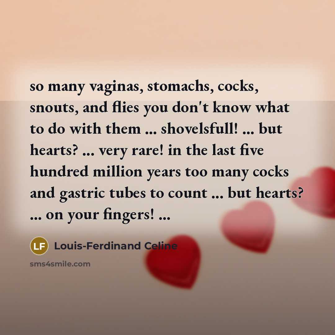“so many vaginas, stomachs, cocks, snouts, and flies you don't…” quote by Louis-Ferdinand Celine