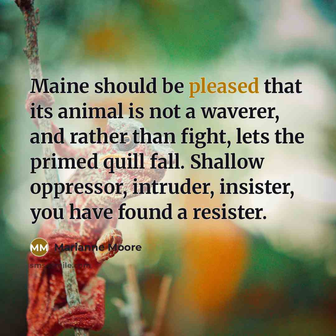 “Maine should be pleased that its animal is not a…” quote by Marianne Moore