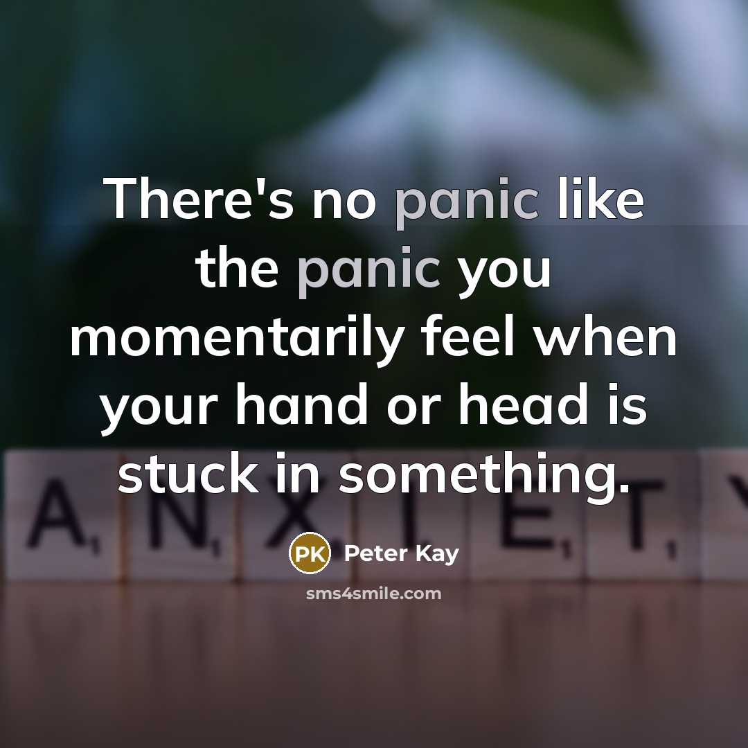 “There's no panic like the panic you momentarily feel when…” quote by Peter Kay