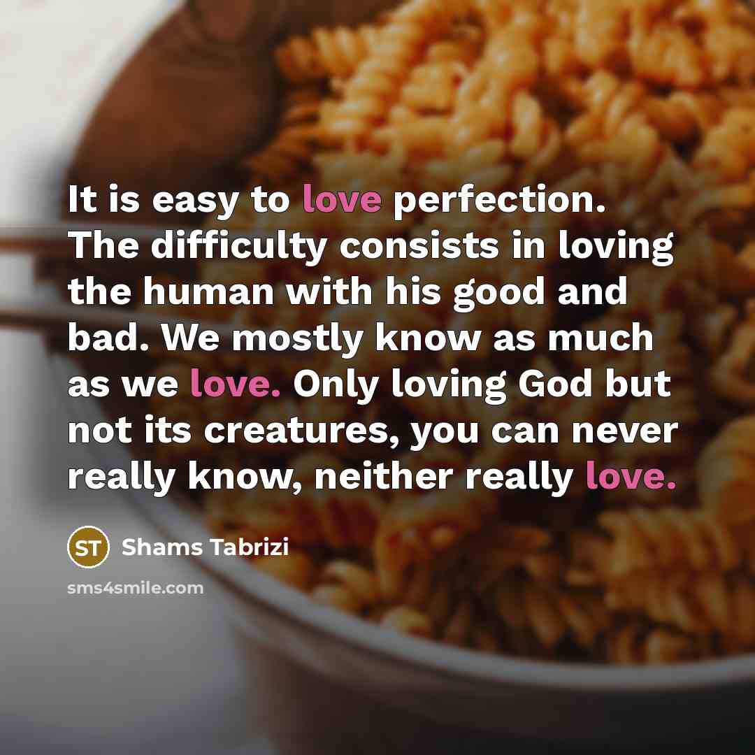 “It is easy to love perfection. The difficulty consists in…” quote by Shams Tabrizi