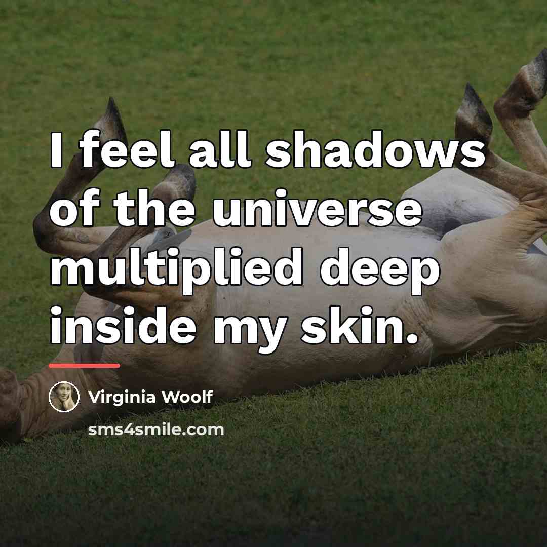“I feel all shadows of the universe multiplied deep inside…” quote by Virginia Woolf