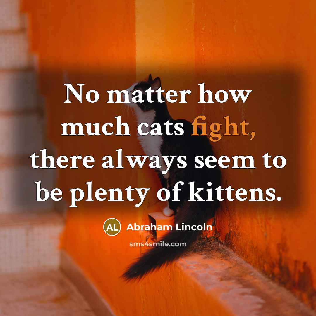 “No matter how much cats fight, there always seem to…” quote by Abraham Lincoln