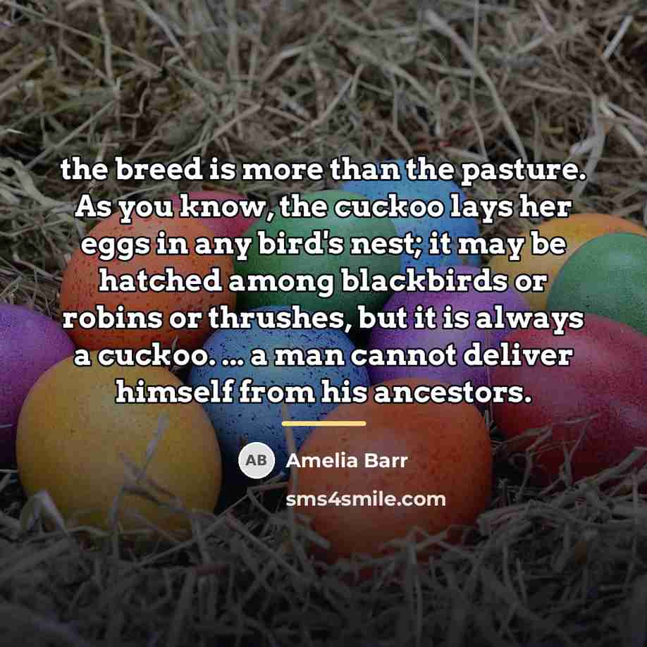 “the breed is more than the pasture. As you know,…” quote by Amelia Barr