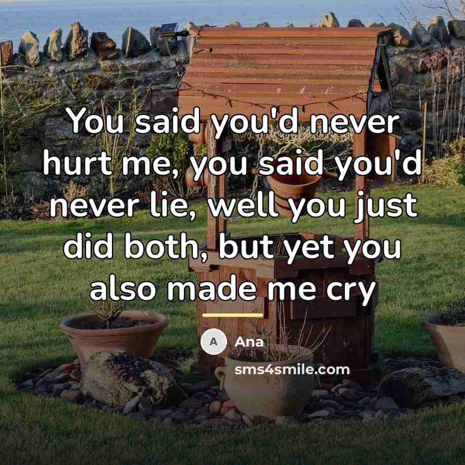 “You said you'd never hurt me, you said you'd never…” quote by Ana