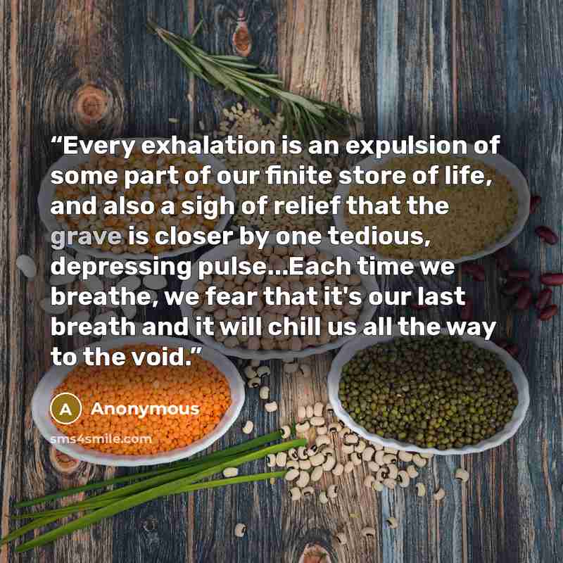 “Every exhalation is an expulsion of some part of our finite store of life, and also a sigh of relief that the grave is closer by one tedious, depressing pulse...Each time we breathe, we fear that it's our last breath and it will chill us all the way to the void.” quote by Anonymous