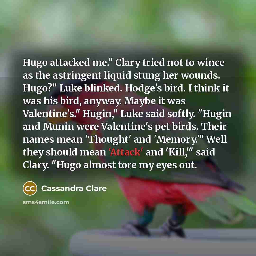 “Hugo attacked me." Clary tried not to wince as the…” quote by Cassandra Clare