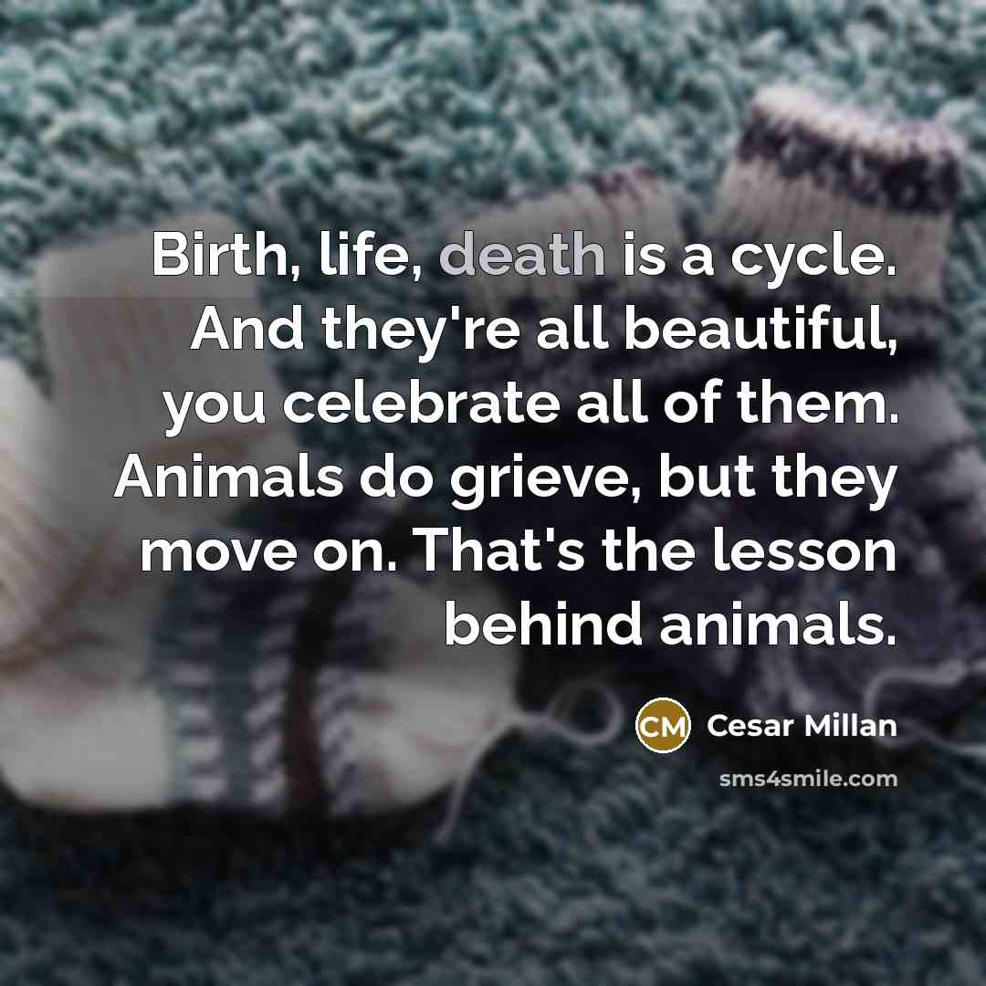 “Birth, life, death is a cycle. And they're all beautiful,…” quote by Cesar Millan