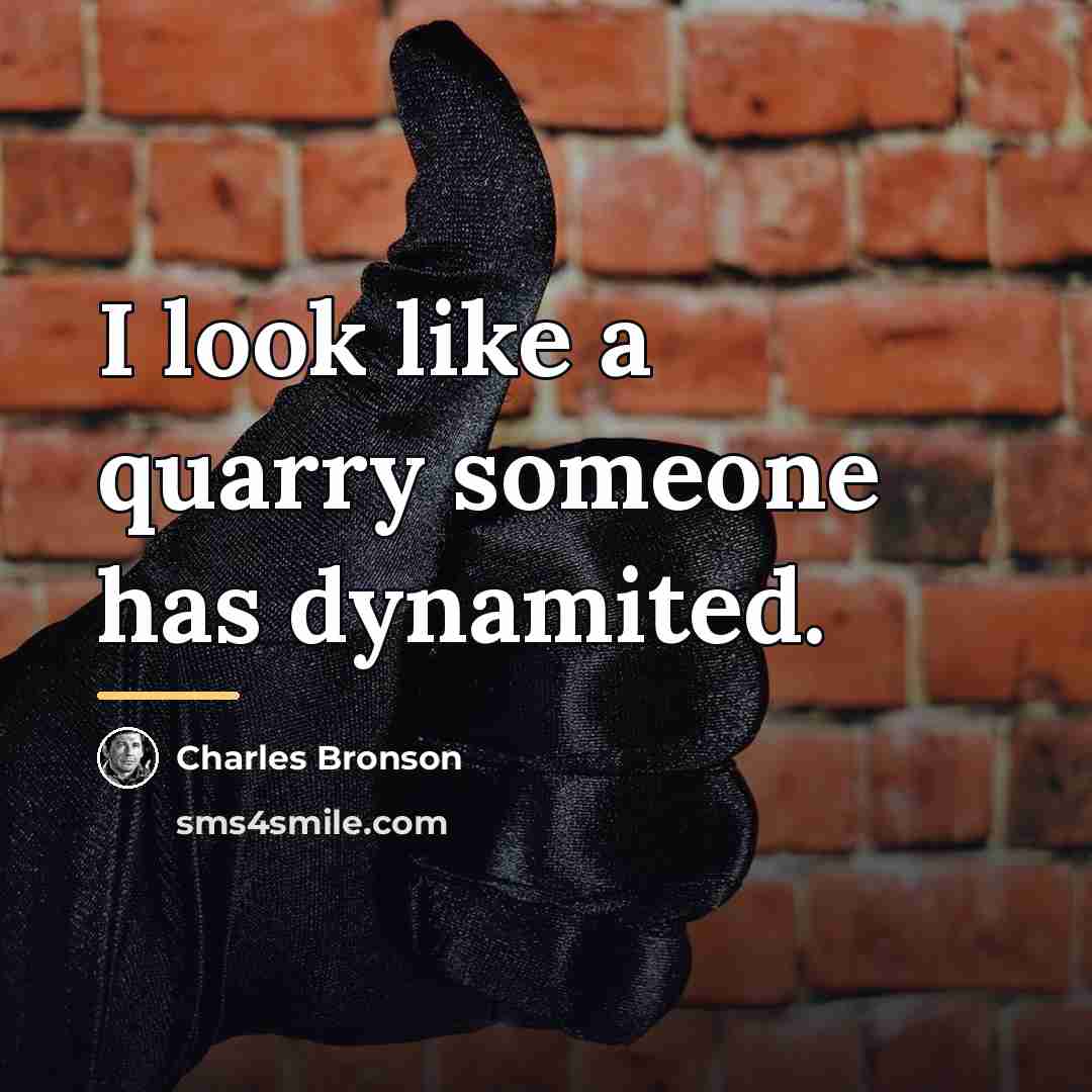“I look like a quarry someone has dynamited.…” quote by Charles Bronson