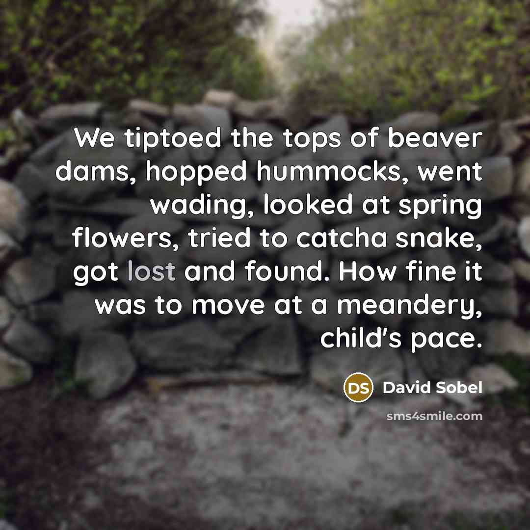 “We tiptoed the tops of beaver dams, hopped hummocks, went…” quote by David Sobel