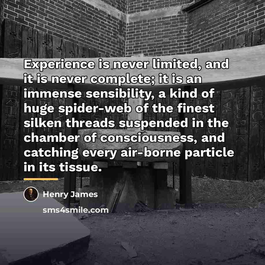“Experience is never limited, and it is never complete; it…” quote by Henry James
