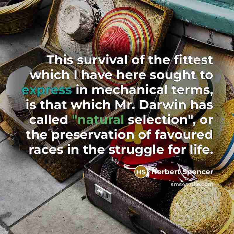 “This survival of the fittest which I have here sought to express in mechanical terms, is that which Mr. Darwin has called "natural selection", or the preservation of favoured races in the struggle for life.” quote by Herbert Spencer