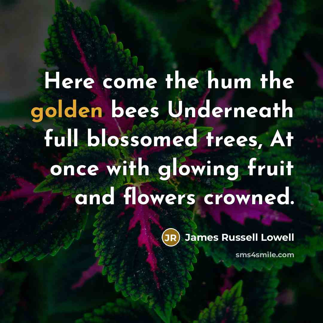 “Here come the hum the golden bees Underneath full blossomed…” quote by James Russell Lowell