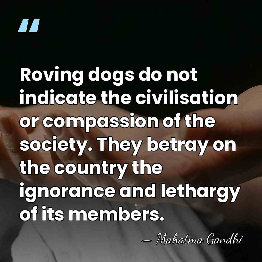 Roving dogs do not indicate the civilisation or compassion of the society.&hellip; - Mahatma Gandhi