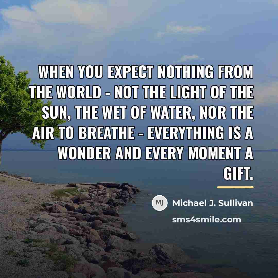 “When you expect nothing from the world - not the…” quote by Michael J. Sullivan