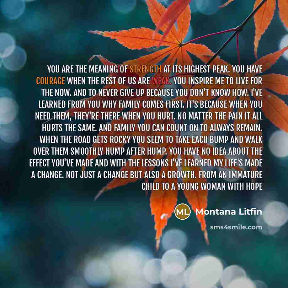 “You are the meaning of strength at its highest peak.…” quote by Montana Litfin