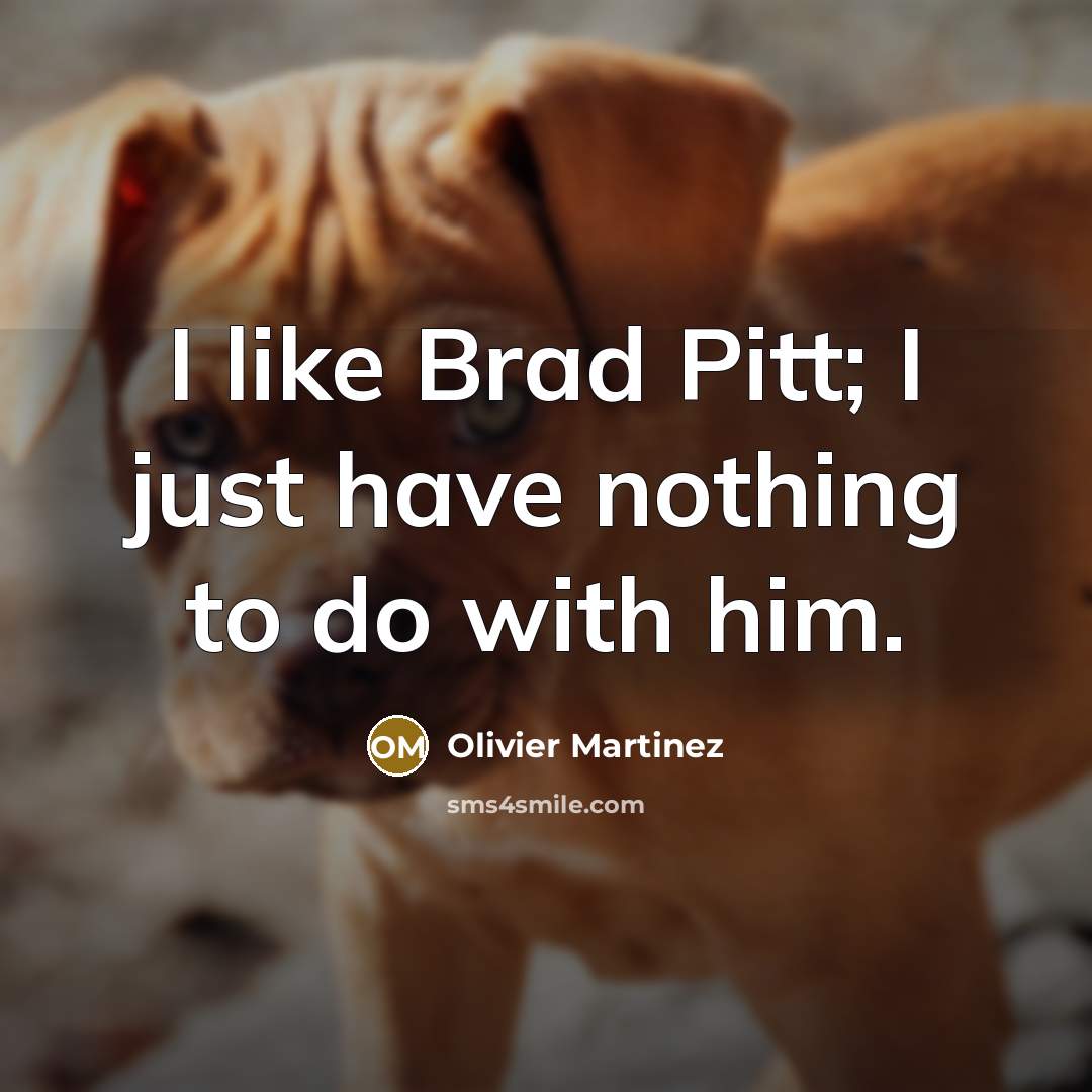 “I like Brad Pitt; I just have nothing to do…” quote by Olivier Martinez