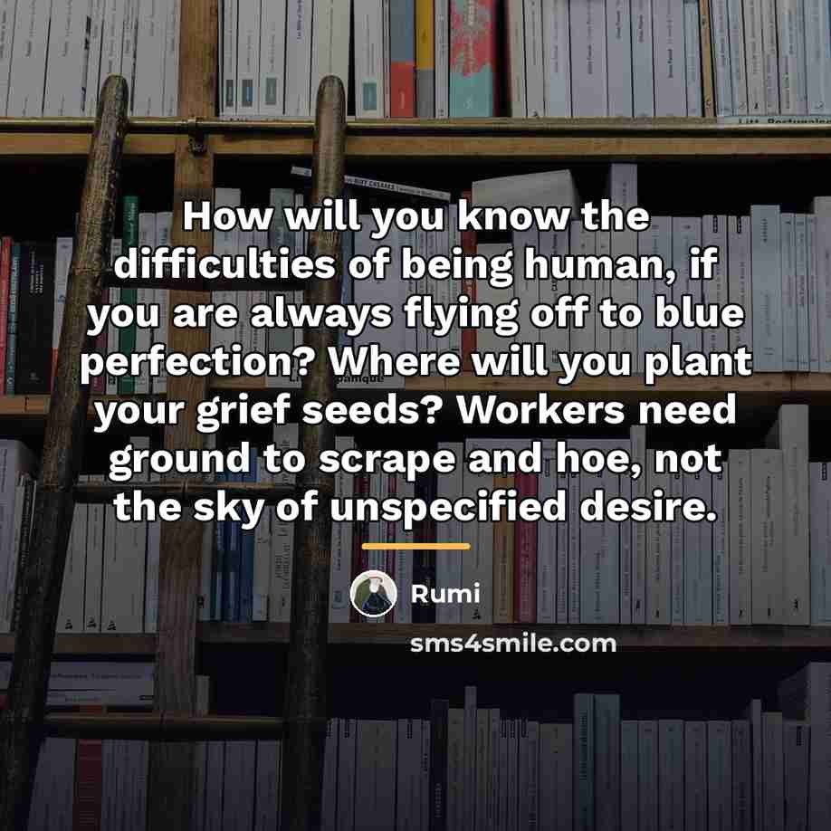“How will you know the difficulties of being human, if…” quote by Rumi