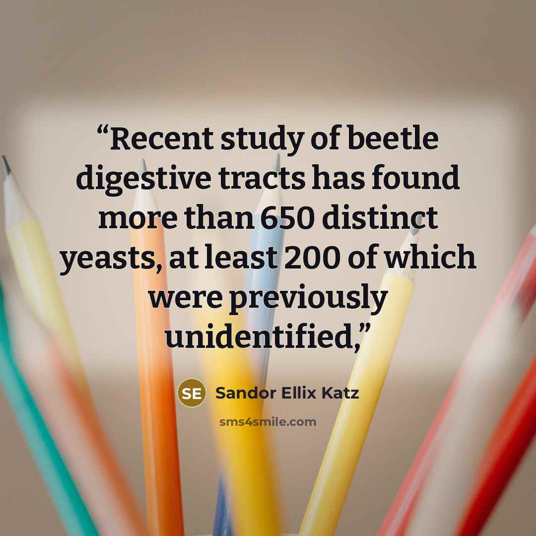 “Recent study of beetle digestive tracts has found more than 650 distinct yeasts, at least 200 of which were previously unidentified,” quote by Sandor Ellix Katz