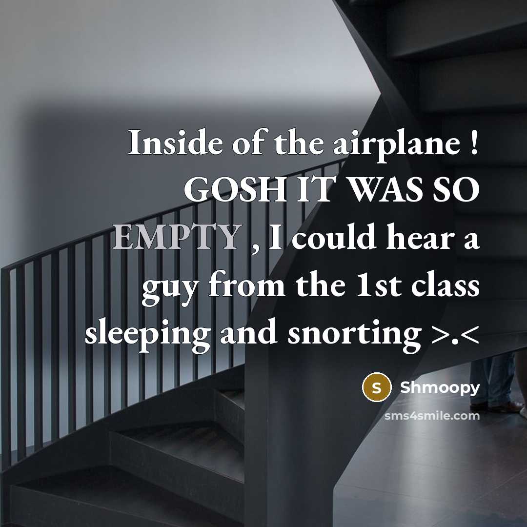 “Inside of the airplane ! GOSH IT WAS SO EMPTY…” quote by Shmoopy