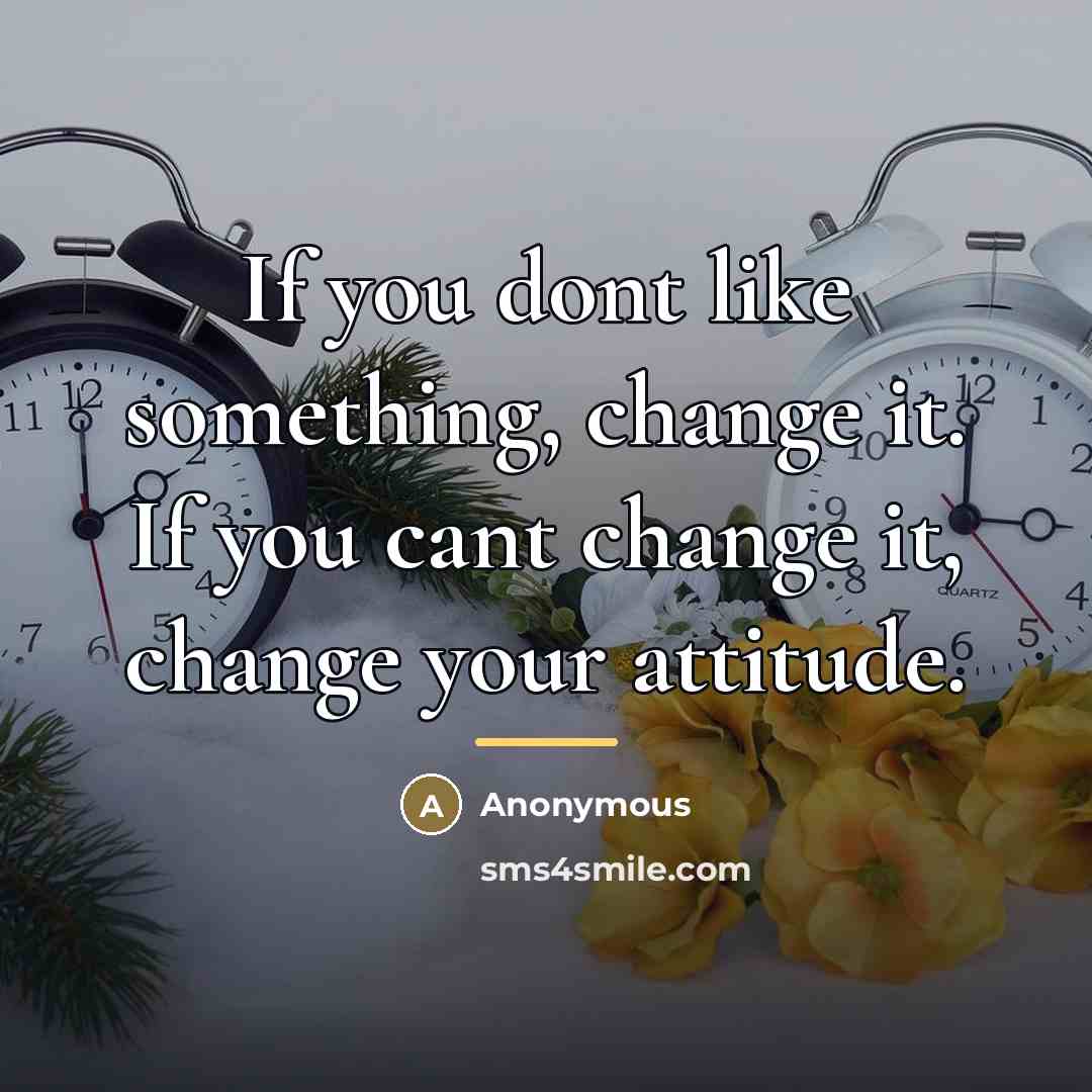“If you dont like something, change it. If you cant…” quote by Anonymous