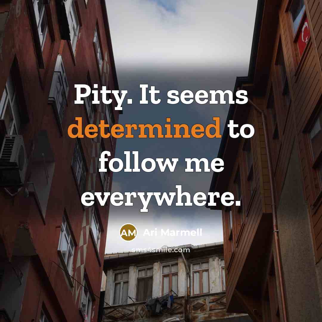 “Pity. It seems determined to follow me everywhere.…” quote by Ari Marmell