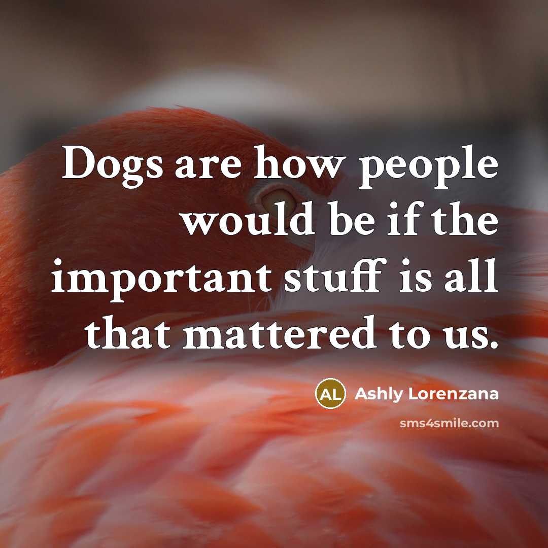 “Dogs are how people would be if the important stuff is all that mattered to us.” quote by Ashly Lorenzana
