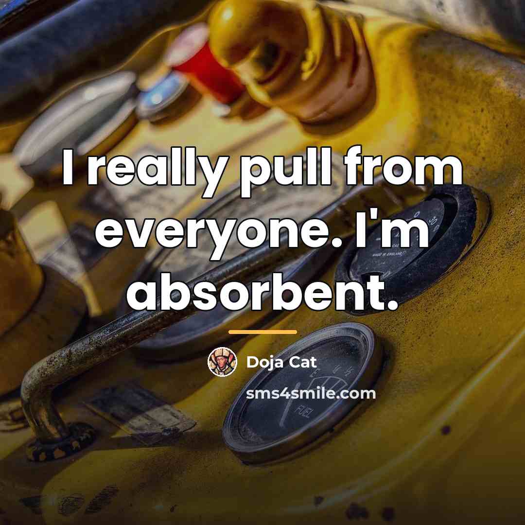 “I really pull from everyone. I'm absorbent.…” quote by Doja Cat