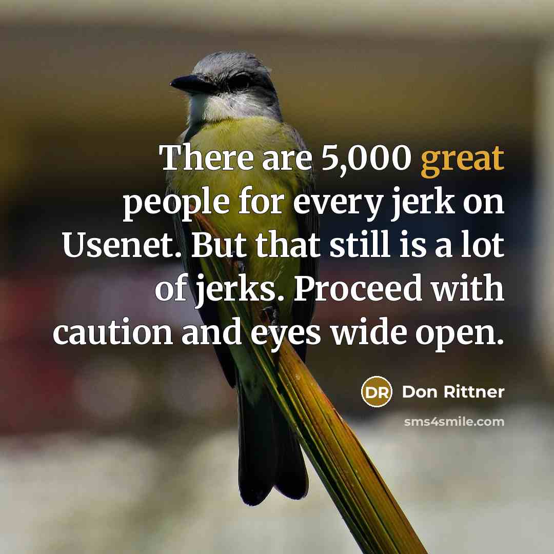 “There are 5,000 great people for every jerk on Usenet.…” quote by Don Rittner