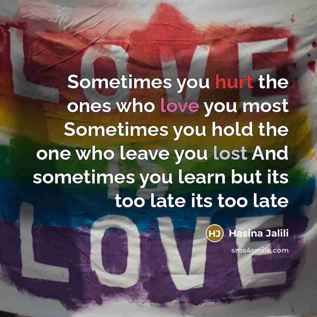 “Sometimes you hurt the ones who love you most Sometimes you hold the one who leave you lost And sometimes you learn but its too late its too late” quote by Hasina Jalili