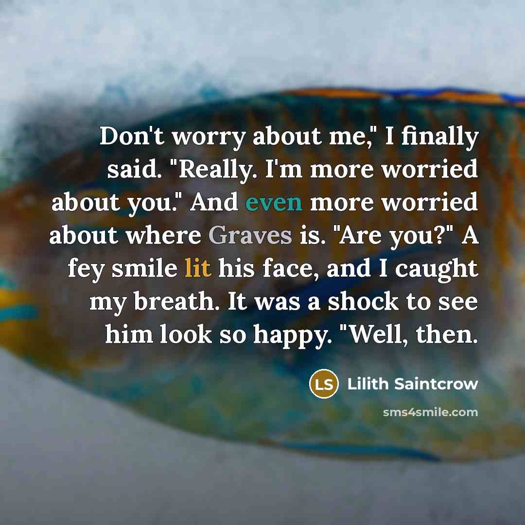“Don't worry about me," I finally said. "Really. I'm more…” quote by Lilith Saintcrow