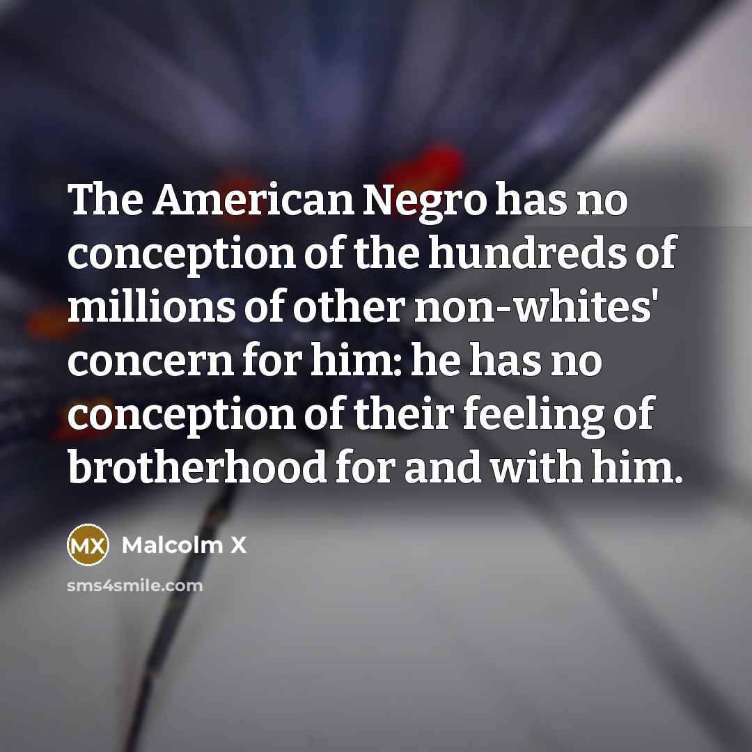 “The American Negro has no conception of the hundreds of…” quote by Malcolm X