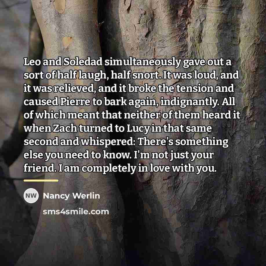 “Leo and Soledad simultaneously gave out a sort of half…” quote by Nancy Werlin