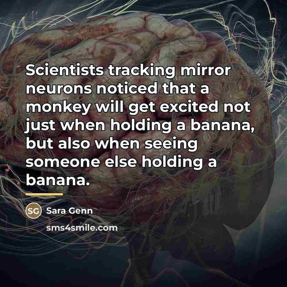 “Scientists tracking mirror neurons noticed that a monkey will get…” quote by Sara Genn