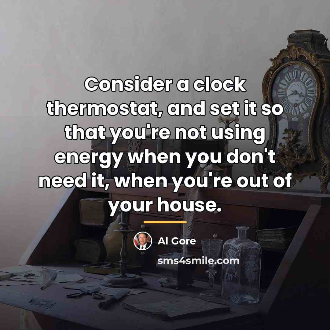 “Consider a clock thermostat, and set it so that you're…” quote by Al Gore