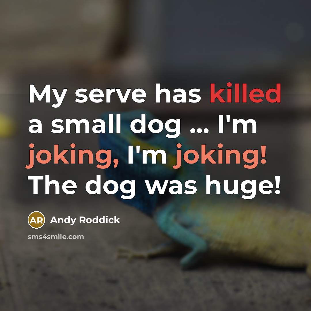 “My serve has killed a small dog ... I'm joking, I'm joking! The dog was huge!” quote by Andy Roddick