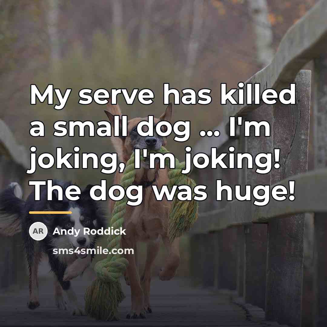 “My serve has killed a small dog ... I'm joking,…” quote by Andy Roddick