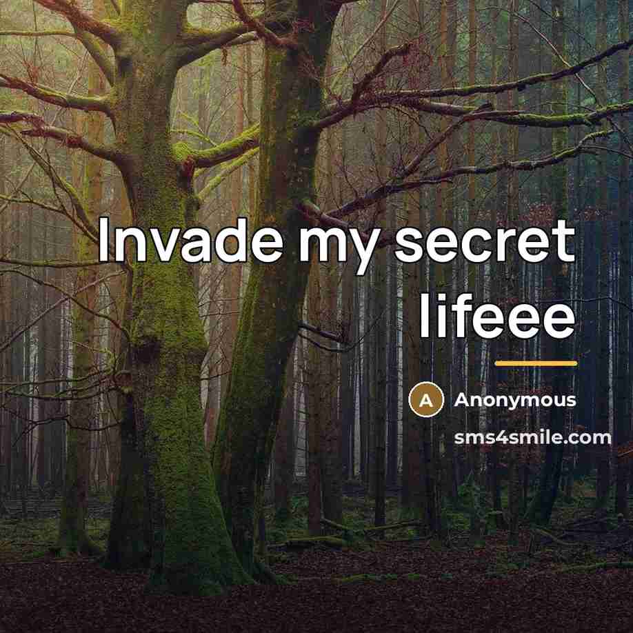 “Invade my secret lifeee…” quote by Anonymous