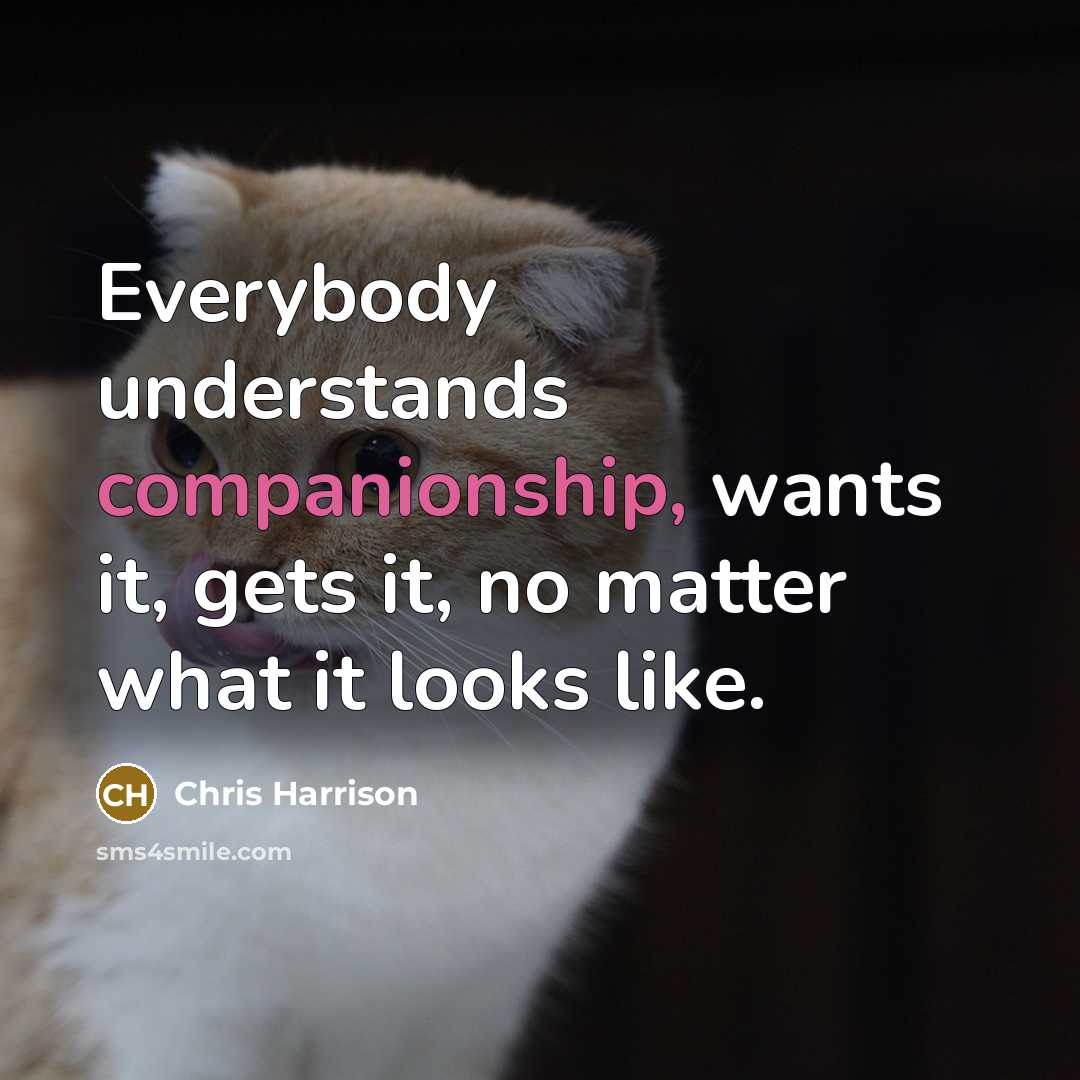 “Everybody understands companionship, wants it, gets it, no matter what…” quote by Chris Harrison